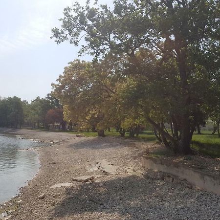Apartman Garden Poreč Eksteriør billede